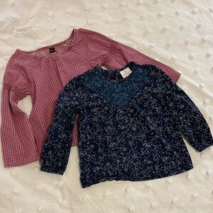 Hanna Andersson and Tea Collection Girls 5T Bundle of Blouses | 100% Cotton